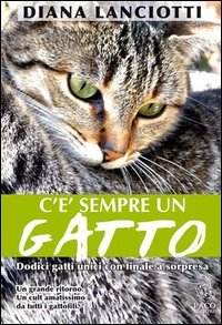 Beispielbild fr C' sempre un gatto. Dodici gatti unici con finale a sorpresa zum Verkauf von medimops