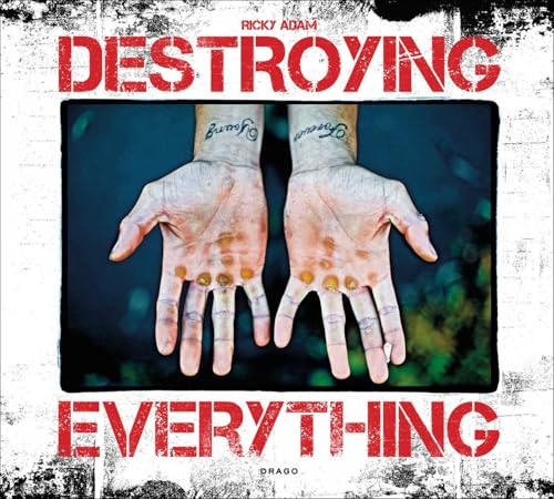 9788888493923: Destroying Everything...: Seems Like the Only Option
