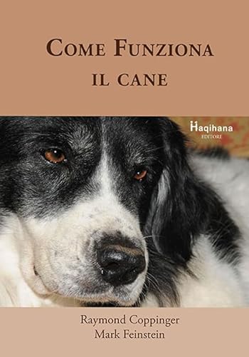 Beispielbild fr Come funziona il cane zum Verkauf von libreriauniversitaria.it
