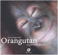 Beispielbild fr Orangutan. Angeli della foresta zum Verkauf von medimops