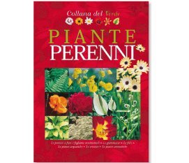 Imagen de archivo de Piante perenni a la venta por Apeiron Book Service