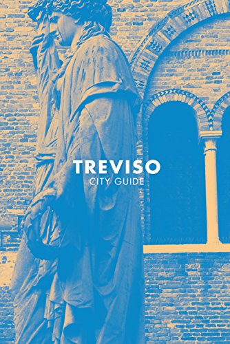 Imagen de archivo de Treviso. City guide a la venta por libreriauniversitaria.it