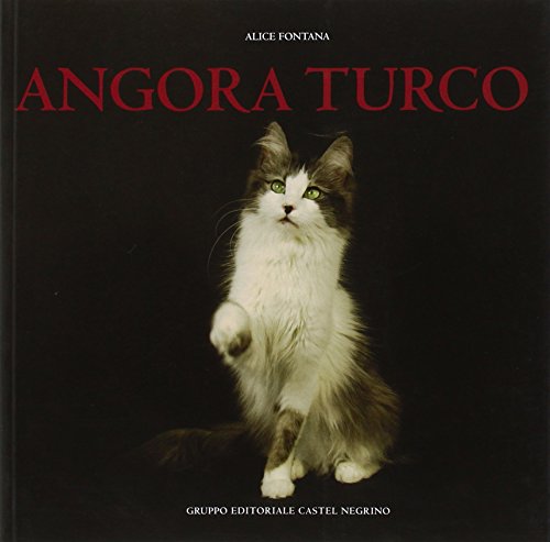 9788889662427: Angora turco. Ediz. illustrata (Fusa di razza)