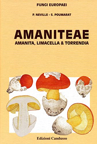 9788890105739: Amaniteae. Ediz. francese (Fungi europaei)