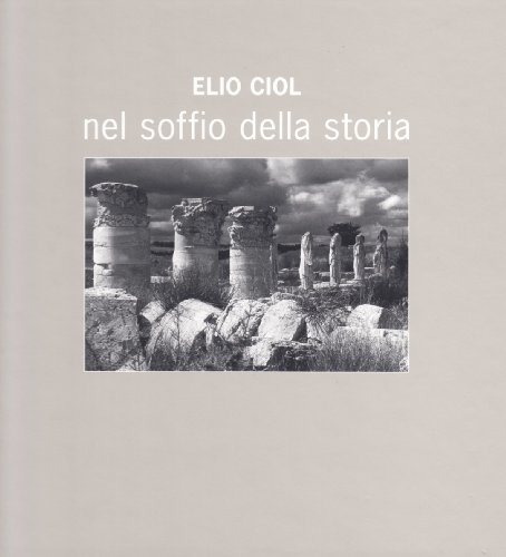 Nel soffio della storia (9788890203664) by Unknown Author