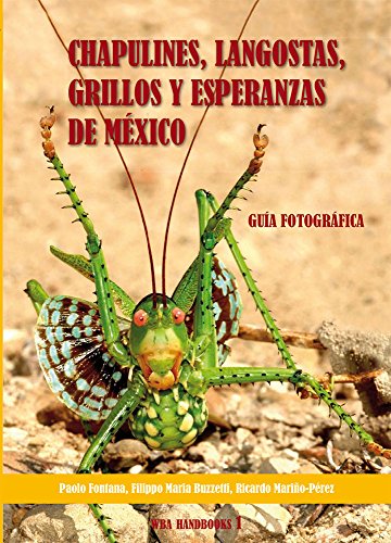 Beispielbild fr Chapulines, langostas, grillos y esperanzas de Mexico-Grasshoppers, locusts, crickets and katydids of Mexico zum Verkauf von libreriauniversitaria.it