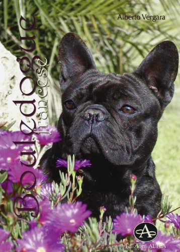 9788890398261: Bouledogue francese