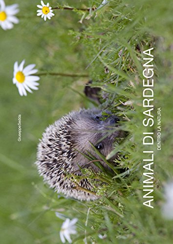 9788890481666: Animali di Sardegna. Dentro la natura. Ediz. italiana e inglese