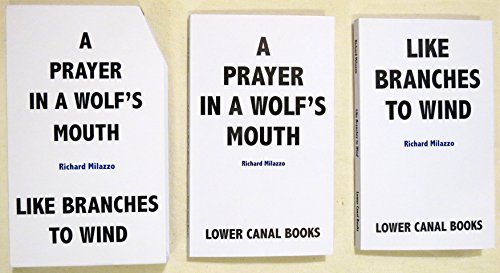 Imagen de archivo de A Prayer in a Wolf's Mouth: Poems 2014 a la venta por Newsboy Books
