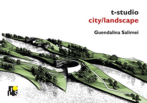 Imagen de archivo de T-Studio: City/landscape a la venta por GreatBookPrices