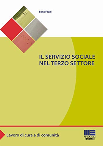 9788891615510: Il servizio sociale nel terzo settore