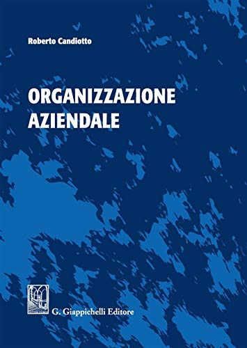 9788892104921: Organizzazione aziendale. Ediz. illustrata