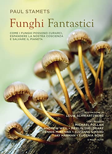 Stock image for Funghi fantastici for sale by Tomi di Carta di Michele Bonelli