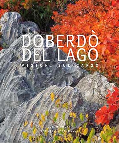 9788894348705: Doberd del Lago. Visioni sul Carso. Ediz. italiana, inglese e slovena