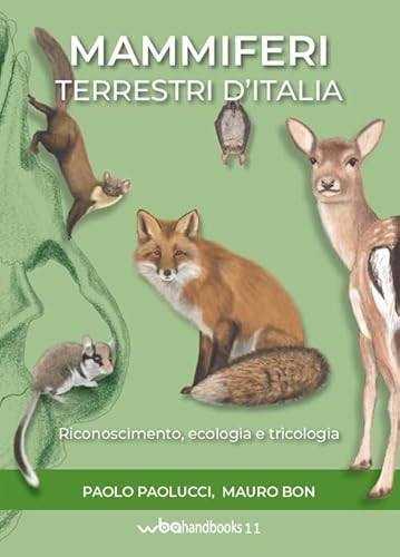 Stock image for Mammiferi terrestri d'Italia for sale by libreriauniversitaria.it