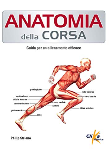 Stock image for Anatomia della corsa. Guida per un alenamento efficace for sale by libreriauniversitaria.it