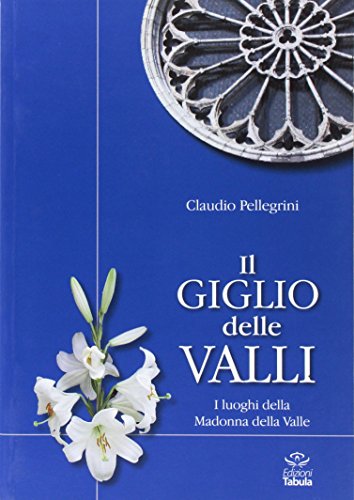 9788895639765: Il giglio delle valli. I luoghi dedicati alla Madonna della Valle