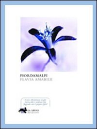 9788896052129: Fiordamalfi (Visioni)