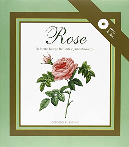 Stock image for Rose for sale by libreriauniversitaria.it