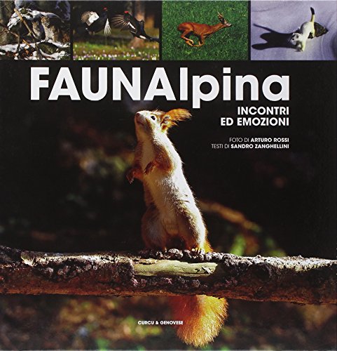 9788896737224: Fauna alpina. Incontri ed emozioni. Ediz. illustrata