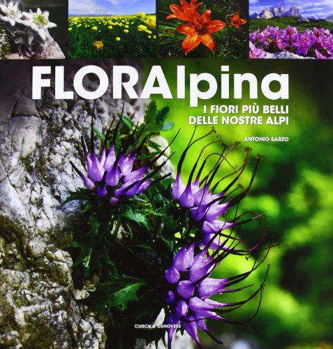 9788896737774: Flora alpina. I fiori pi belli delle Alpi