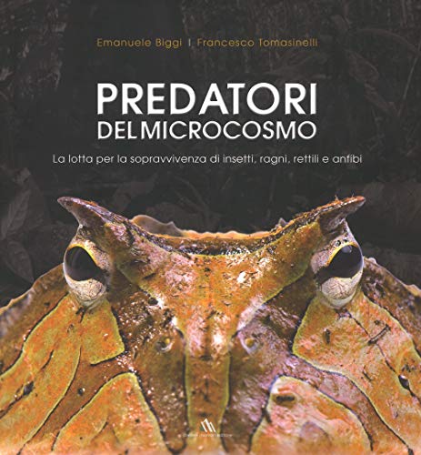 9788897123255: Predatori del microcosmo. La lotta per la sopravvivenza di insetti, ragni, rettili e anfibi. Ediz. illustrata