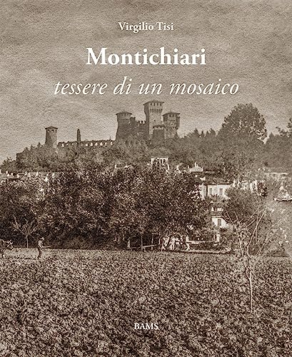 Stock image for Montichiari. Tessere di un mosaico for sale by Brook Bookstore