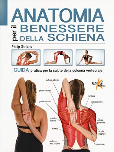 Stock image for Anatomia Per Il Benessere Della Schiena. Guida Pratica Per La Salute Della Colonna Vertebrale. Ediz. a Colori for sale by libreriauniversitaria.it
