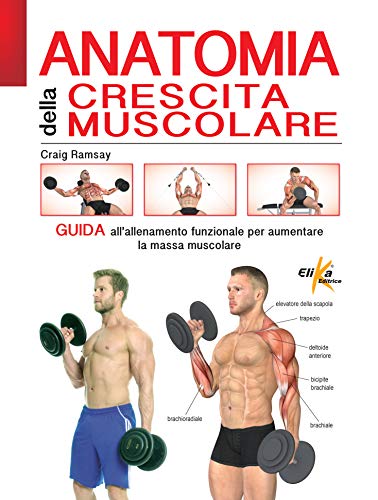 Stock image for Anatomia Della Crescita Muscolare. Guida All'allenamento Funzionale Per Aumentare La Massa Muscolare. Ediz. Illustrata for sale by libreriauniversitaria.it