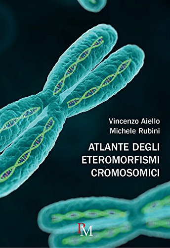 Beispielbild fr Atlante degli eteromorfismi cromosomici zum Verkauf von medimops