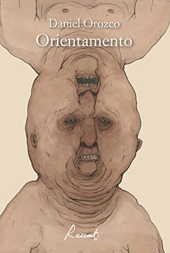 Stock image for Orientamento for sale by libreriauniversitaria.it