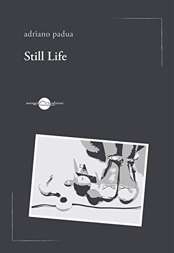 Beispielbild fr Still life zum Verkauf von Revaluation Books