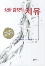 Stock image for Healing for Damaged Emotions (Korean Edition) for sale by Orion Tech
