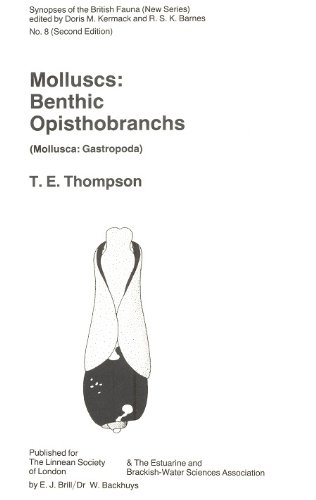 9789004084391: Molluscs: Benthic Opisthobranchs (Mollusca : Gastropoda : Keys and Notes for the Identification of the Species)