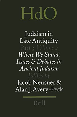 Stock image for JUDAISM IN LATE ANTIQUITY, PART 3. WHERE WE STAND: ISSUES & DEBATES IN ANCIENT JUDAISM, 2 for sale by Prtico [Portico]