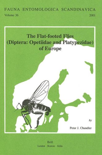 Beispielbild fr The Flat-Footed Flies: (Diptera: Opetiidae and Platypezidae) of Europe (Fauna Entomologica Scandinavica) zum Verkauf von Books From California