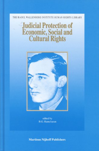 Imagen de archivo de Judicial Protection of Economic, Social And Culture Rights: Case And Materials a la venta por Revaluation Books