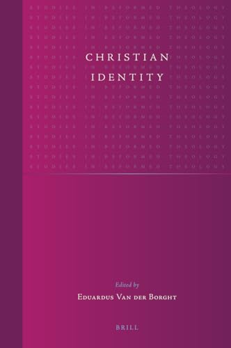 9789004158061: Christian Identity: 16 (Studies in Reformed Theology)