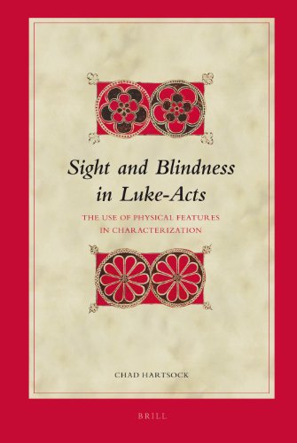 9789004165359: Sight and Blindness in Luke-Acts: The Use of Physical Features in Characterization: 94 (Biblical Interpretation Series, 94)