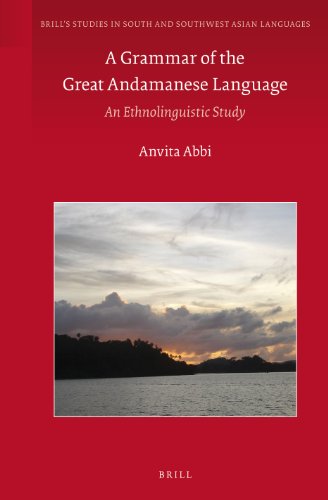 Imagen de archivo de A Grammar of the Great Andamanese Language: An Ethnolinguistic Study a la venta por Revaluation Books