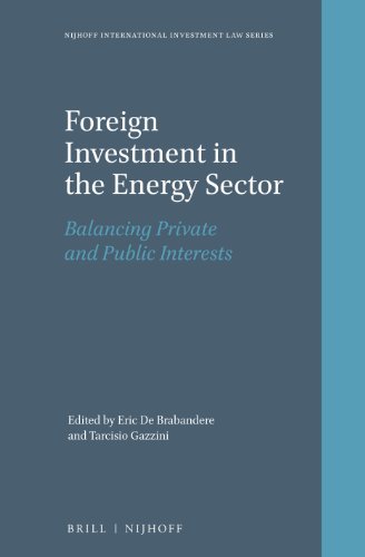 Imagen de archivo de Foreign Investment in the Energy Sector: Balancing Private and Public Interests a la venta por Revaluation Books