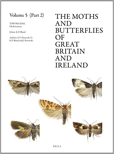 9789004252127: Tortricidae, Part 2: Olethreutinae: 5 (The Moths & Butterflies of Great Britain & Ireland)
