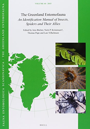 9789004256408: The Greenland Entomofauna: An Identification Manual of Insects, Spiders and Their Allies: 44 (Fauna Entomologica Scandinavica)