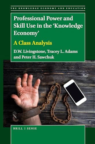 Stock image for Professional Power and Skill Use in the 'Knowledge Economy': A Class Analysis for sale by Revaluation Books