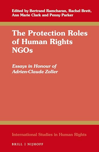 Stock image for THE PROTECTION ROLES OF HUMAN RIGHTS NGOS for sale by Basi6 International