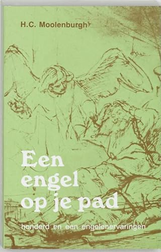 Beispielbild fr Een engel op je pad: honderd en een engelenervaringen: honderd en n engelenervaringen. zum Verkauf von INGARDIO