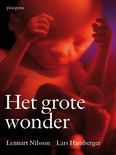 Stock image for Het grote wonder / druk 27 for sale by medimops