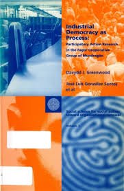 Stock image for Industrial Democracy as Process: Participatory Action in the Fagor Cooperative Group of Mondragon (Social Science for Social Action: Toward Organizational Renewal) for sale by HPB-Red