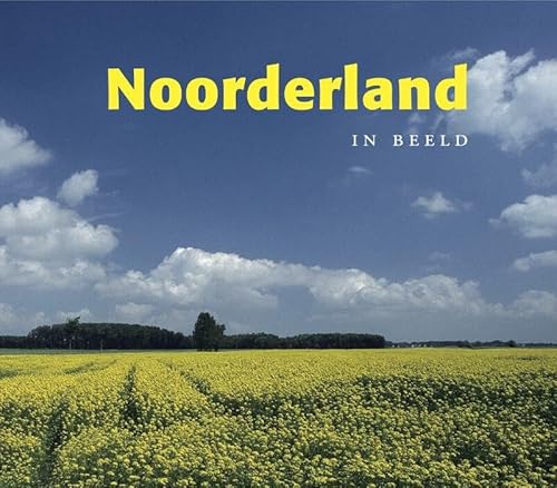 Imagen de archivo de Noorderland in beeld a la venta por medimops