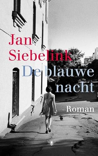 De blauwe nacht (Dutch Edition) - Siebelink, Jan